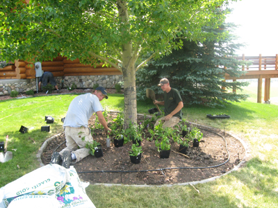 Landscaping In Charlotte Nc